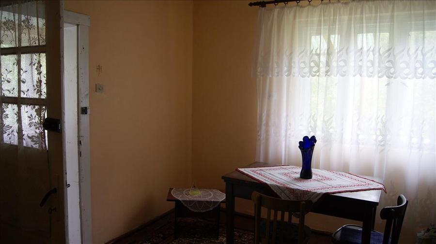 10 hectare teren plus casa la munte in Buces, Hunedoara - 6