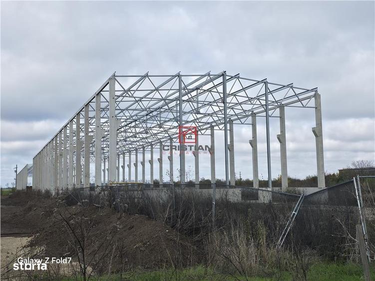 Vanzare depozithalaspatiu industrial Mogosoaia - Buftea - 1