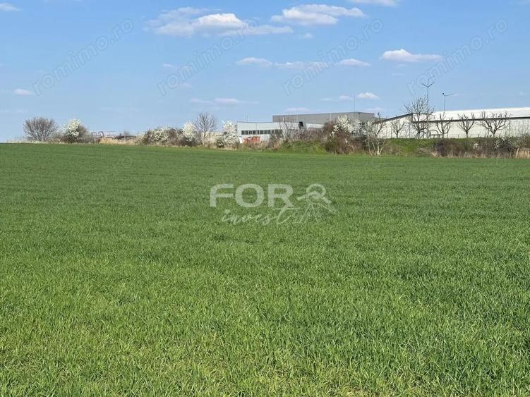 Teren intravilan de vanzare 1000 mp zona Aeroport Oradea - 3
