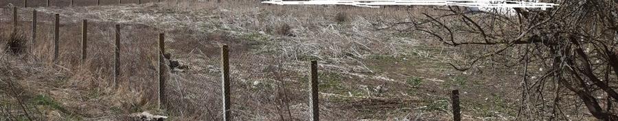 Teren intravilan pentru investitori - 1