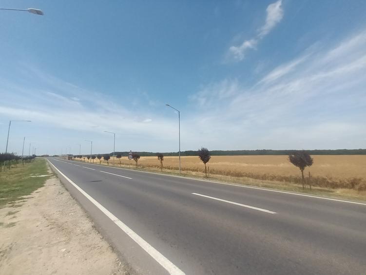 Teren Vanzare Intravilan Branesti - Investitie Zona Industriala Vis a Vis Makita - 29