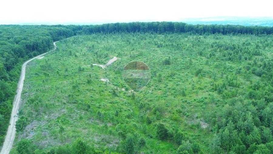 Teren agricol extravilan de 447000 mp, în Șerbăuți