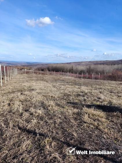Teren Construcții intravilan de 4352 mp, în Chinteni