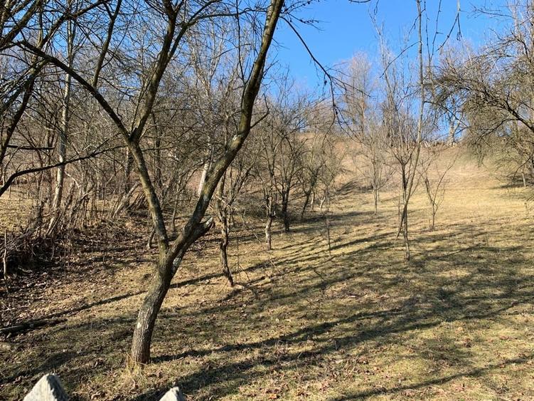 Teren de 2000 mp, în Valea