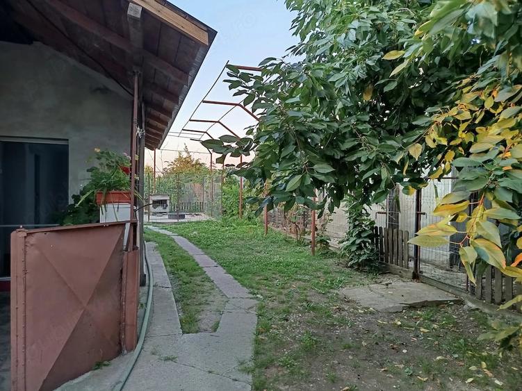 Casă cu 3 camere cu Teren 2200 Mp în Broșteni (Vișina)