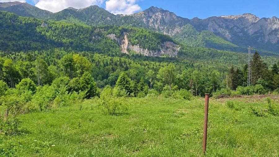 Teren de 1724 mp, în Nord
