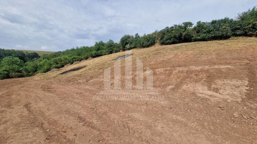 Teren Construcții intravilan de 2000 mp, în Șard