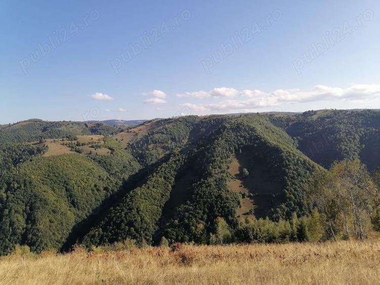 Teren de 20000 mp, în Mărișel