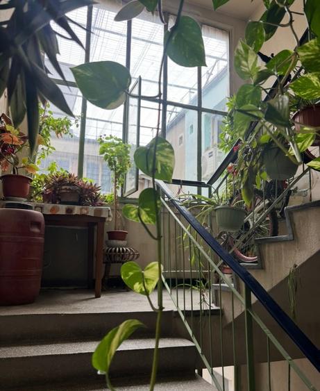 Apartament cu 2 camere decomandat în Giurgiului