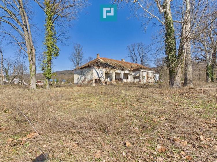 Conac nobiliar de secol XIX cu 8 camere în Maciova - 32