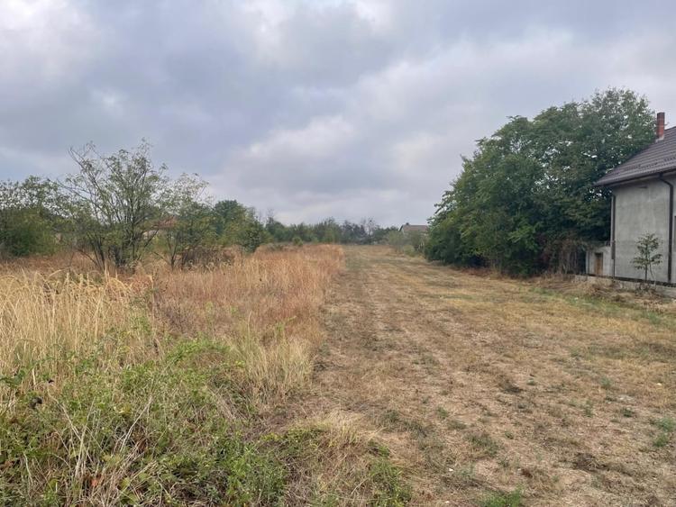 Teren Centru Clinceni - 3