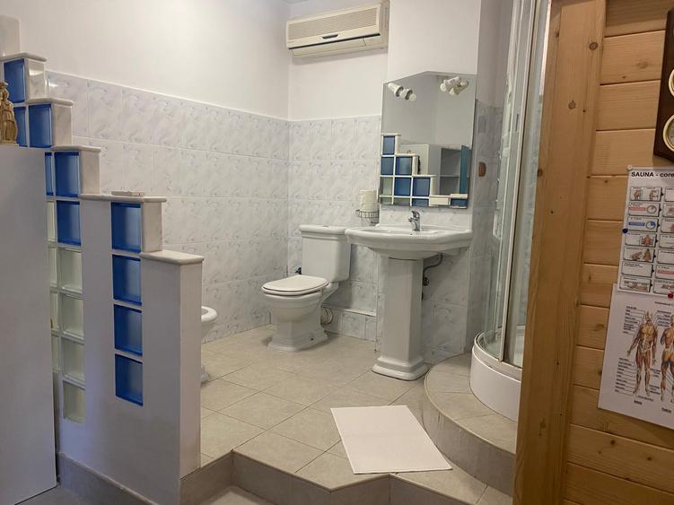 Vila individuala Victoriei pretabil birouri clinica restaurant rezidenta - 49