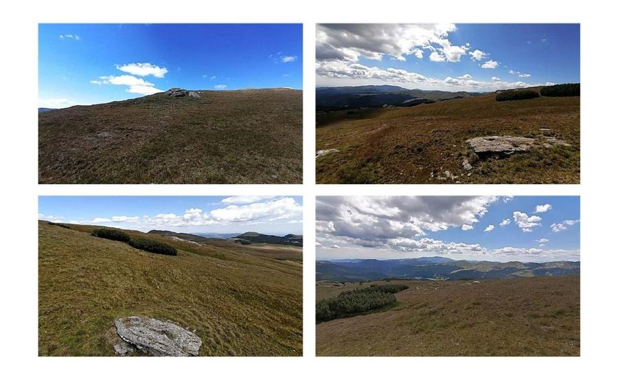 Bucegi zona alpina Ski Resort Padina Pestera - 3