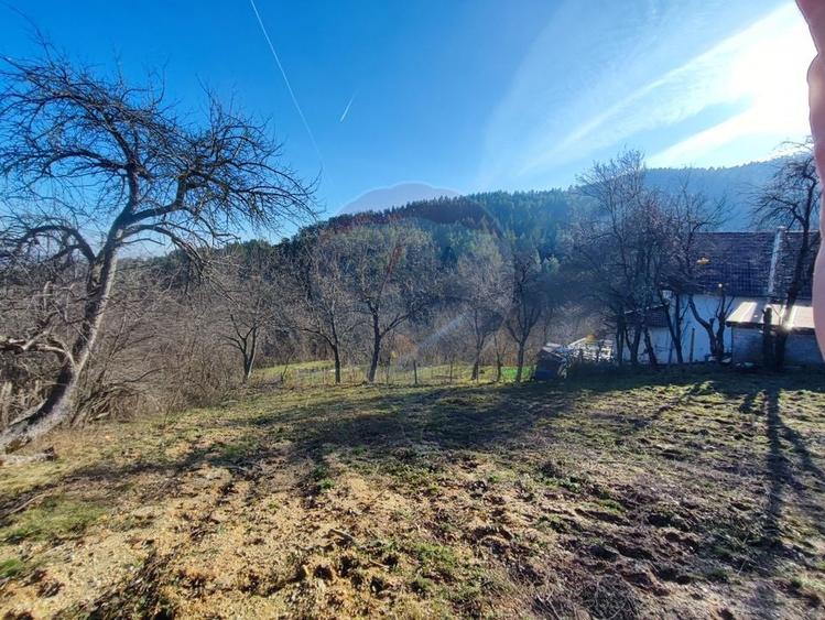 Teren intravilan de vânzare – Vale (Saliste), județul Sibiu - 1