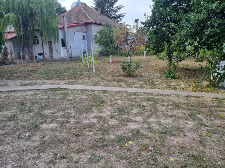 Vand schimb casa aproape de Dunare, muntii Macinului, zona viticola - 7