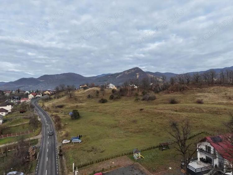 Teren Sisesti la soseaua principala ,langa pensiunea Madlene ,1 ha - 5