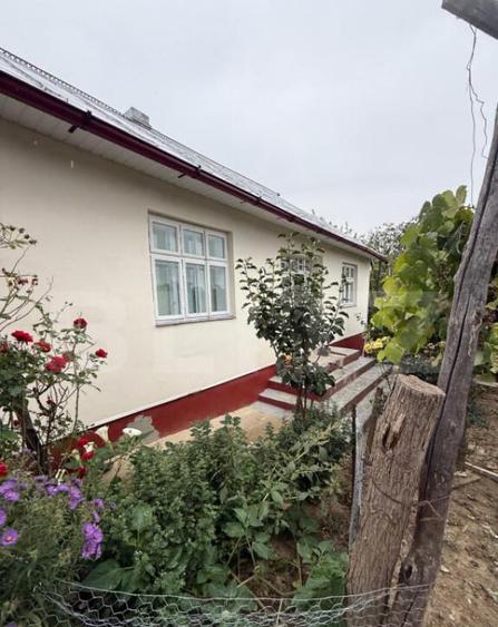 Casa batraneasca, 65 mp si teren intravilan 5600 mp, Adancat - 2