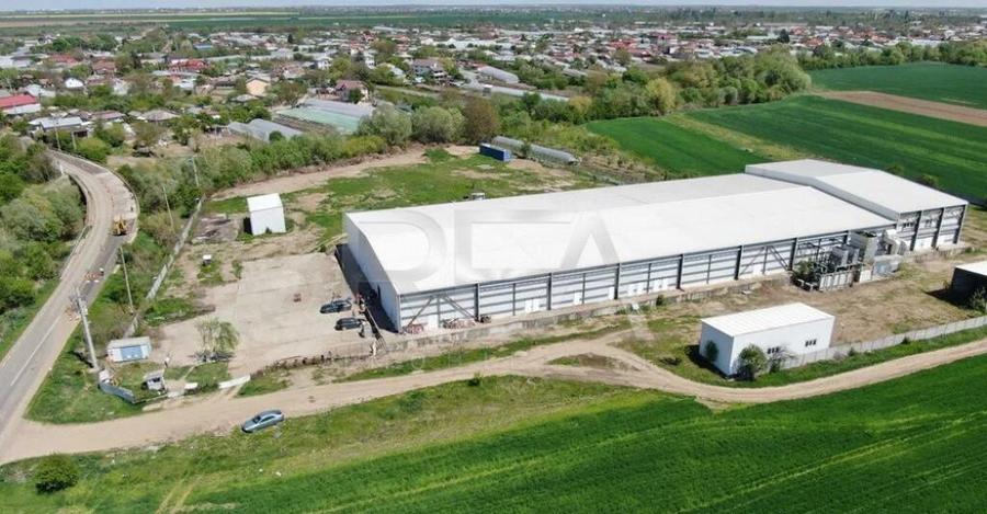 Hala temperatura controlata | Depozitare/Productie | Vidra\C - 7