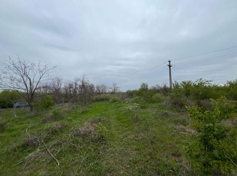 Teren 1450mp Carcea - 1