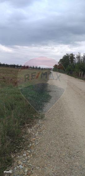 Teren extravilan 3000mp de vanzare la Santion - 5