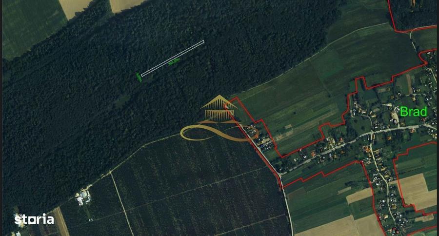 Teren extravilan - Padure de vanzare in Beresti Bistrita - 1