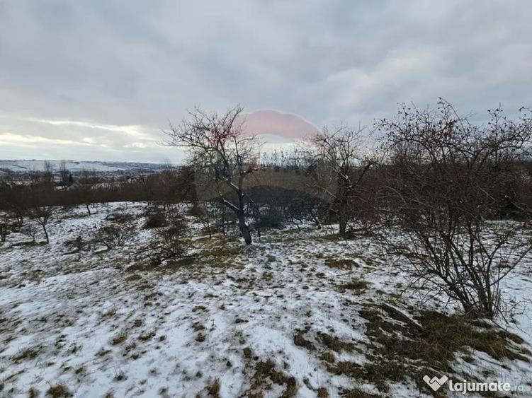 Teren 10,000mp Rada?eni / ?oseaua DN2-E85, jude?ul S... - 1