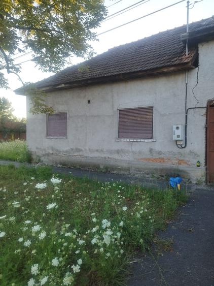 Casa de vanzare in Donceni - 2