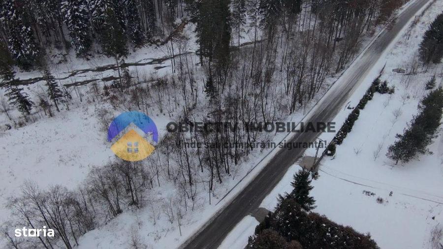 Teren 2283 mp Tarcau - 6