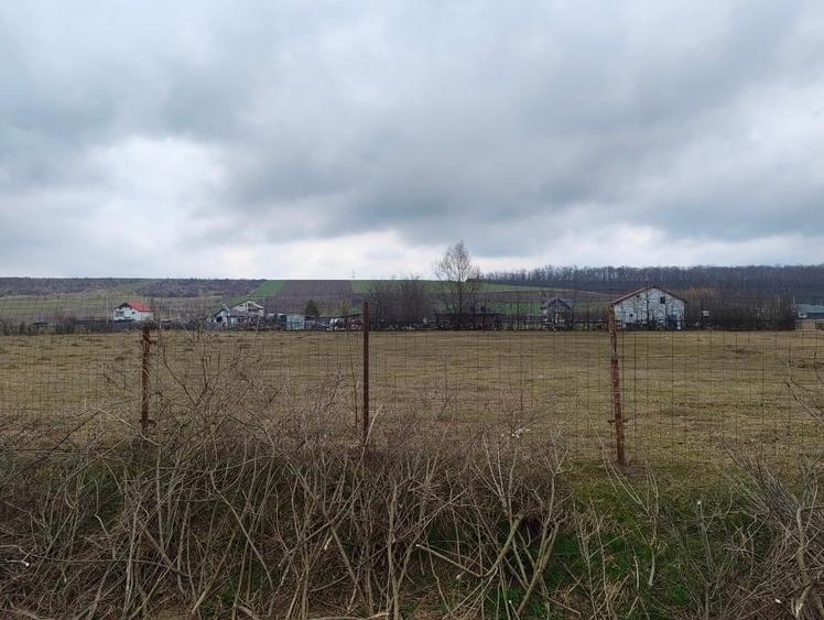 Teren de vânzare Șanta-Mogoșești - 2