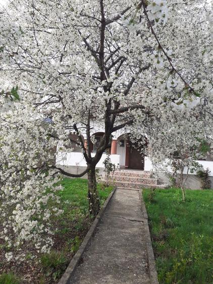 SCHIMB sau VAND casa la tara cu apartament , - 4