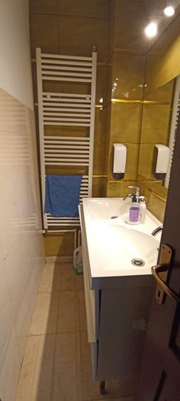 Vila interbelica cu terasa-restaurant in functiune zona Blv Marasesti Bucuresti - 14