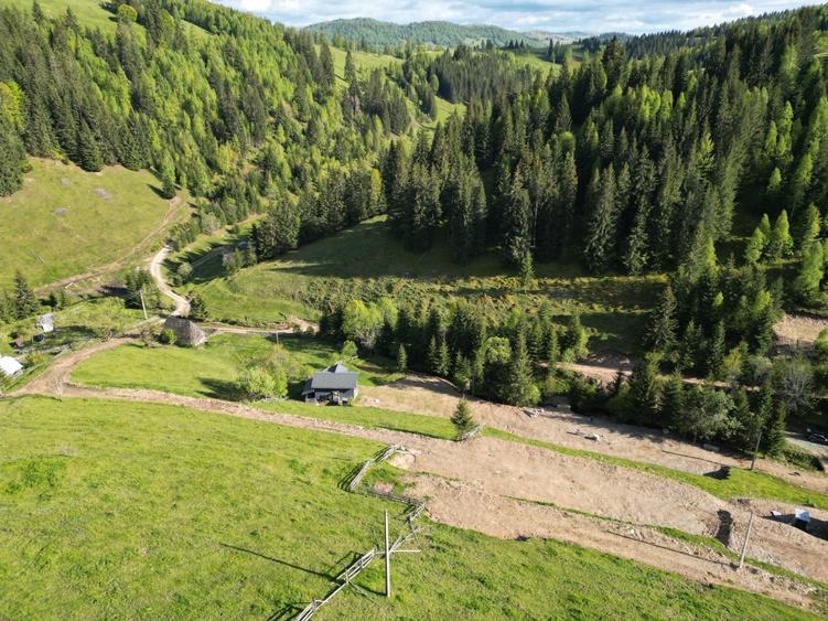 Teren de vanzare, Muntele Bocului Baisoara ,teren1000 mp - 18