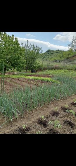 Casa Zona Sarmas foarte aproape de centru! - 2