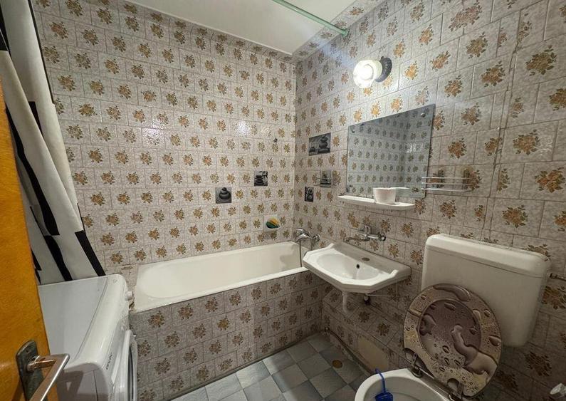 2 Camere Campia Libertatii Pet friendly - 2