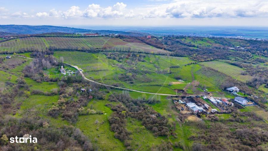 Teren 33.500 mp-Valea Orlei, Prahova/ COMISION 0% - 2