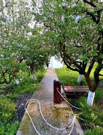 Casa+teren de vanzare in moara domneasca - 5