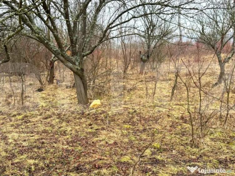 Teren extravilan de vanzare, Valea Budavului - 7