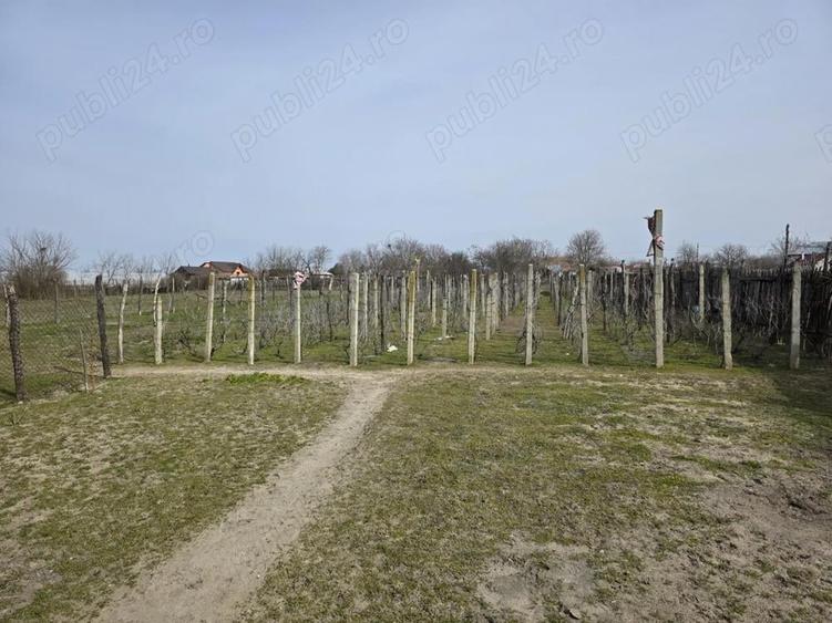 Vand casa comuna Celaru, sat.Soreni ,jud.Dolj - 6