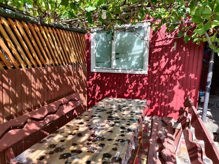 Vanzare casa la ?ara in Costi?a de Sus, comuna Tanasoaia, jud. Vrancea - 10