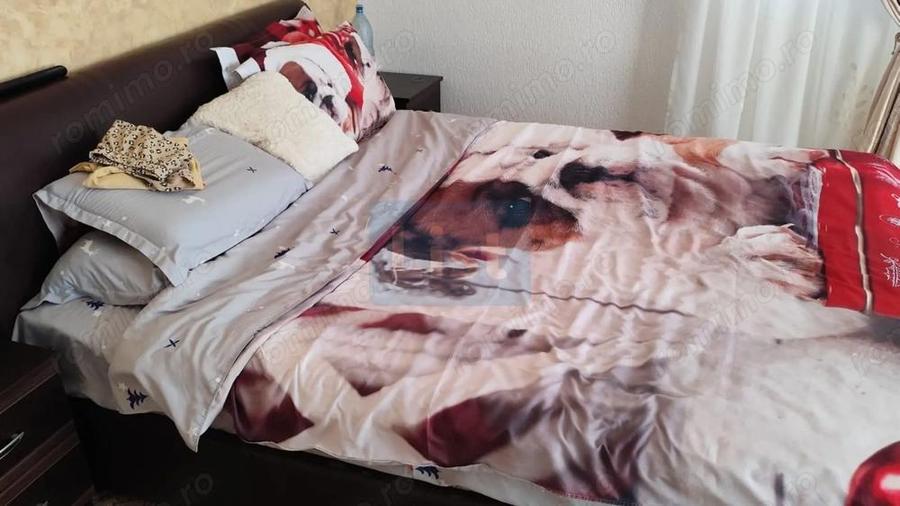 Casa Strejnicu: 150m2, 3 dormitoare, 2 bai, 2 garaje - 10