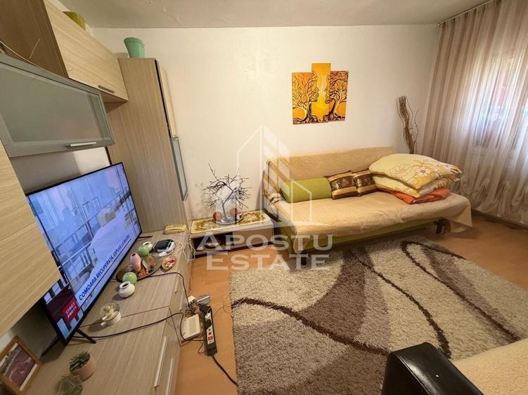 Apartament cu 1 camera de vanzare, izolat, zona Soarelui, Timisoara - 2