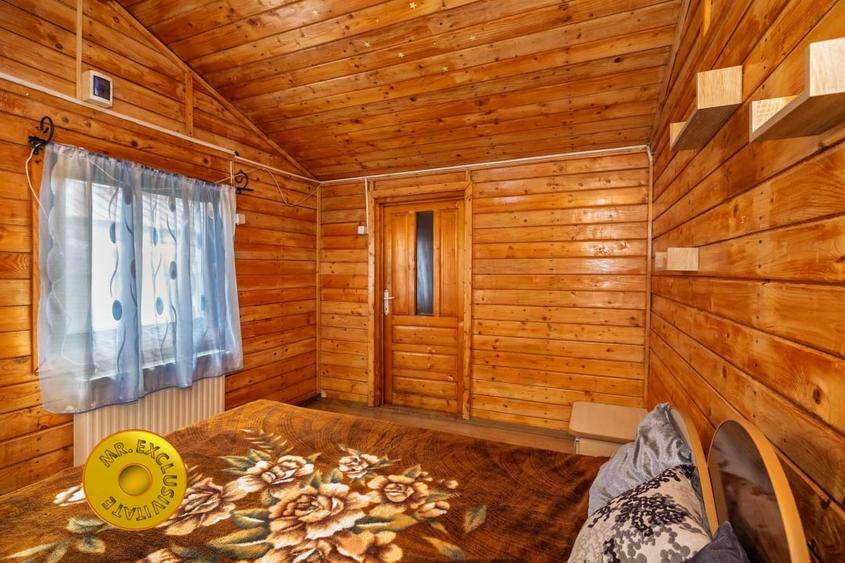 Doua case in aceeasi curte Pitesti, Strada Turcesti - 7