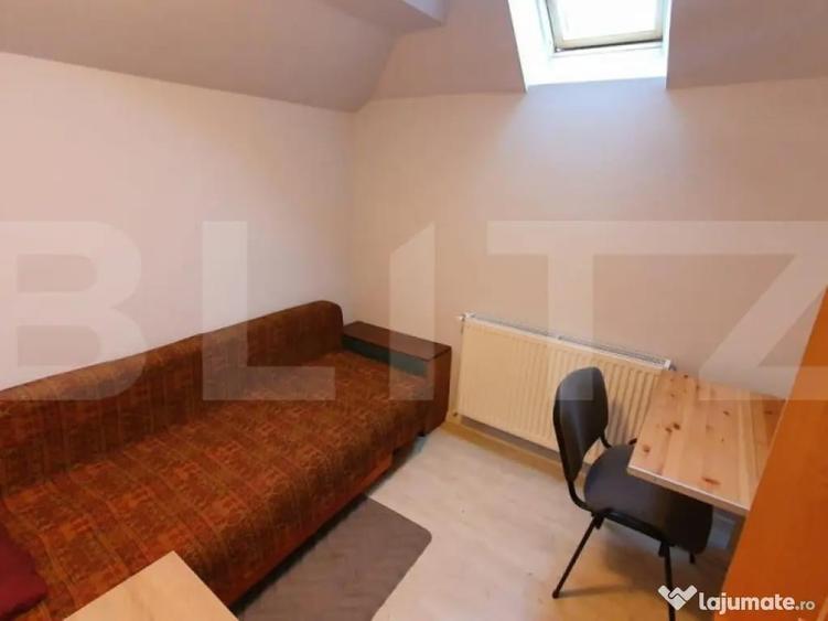 Apartament la casa,1 camera, 30 mp, zona strazii Artelor - 1