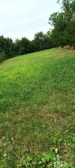 Proprietar vând teren cu casa demolabila - 5