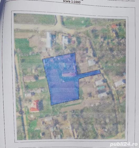 Casa la ?ara jud. Giurgiu, 4 camere, curte 4000 mp - 10