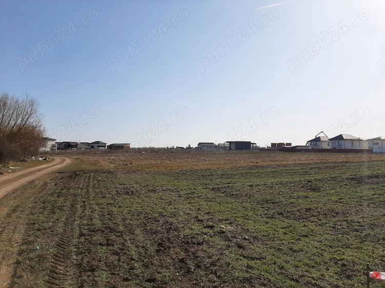 Teren de vanzare 4506mp str.Mierlei Tunari Ilfov - 2