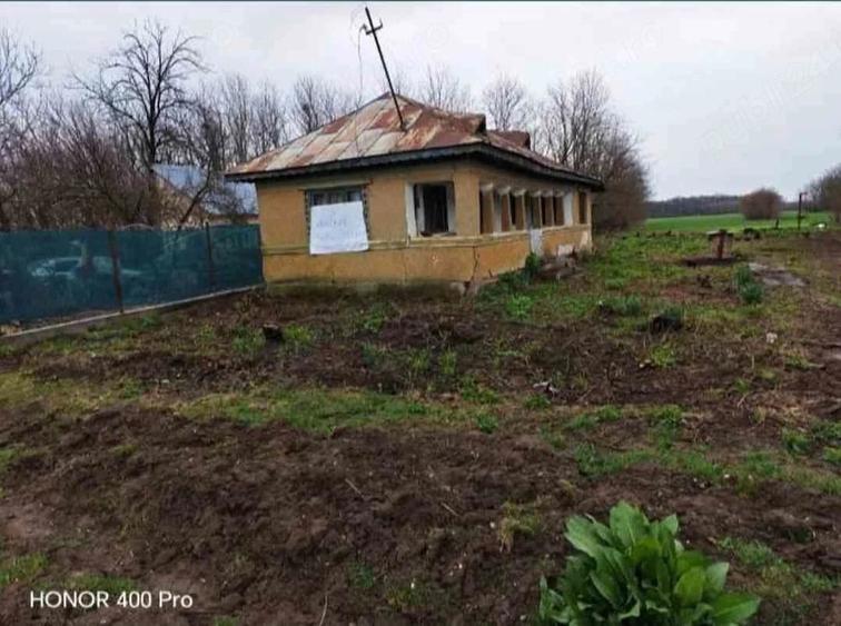 Teren de 1704 mp, în Balta Doamnei