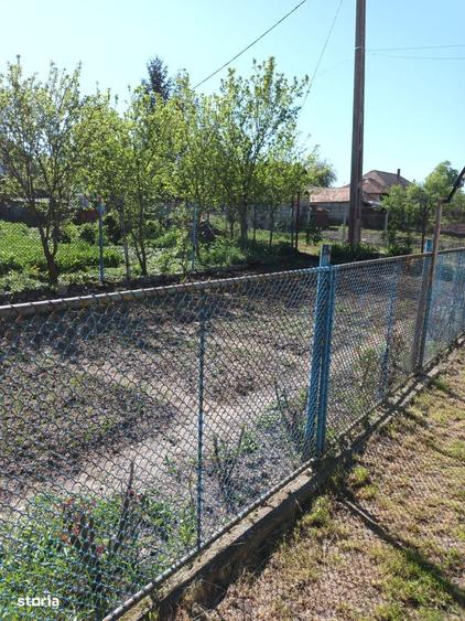 Casa de vanzare, 84 mp, teren 1900 mp, ziduri de caramida - 10