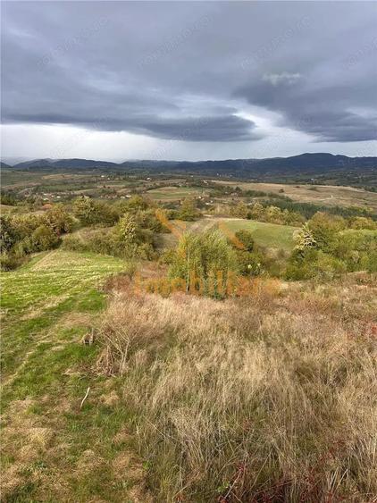 TEREN | 9341 MP | BALNACA GROSI | BIHOR - 6