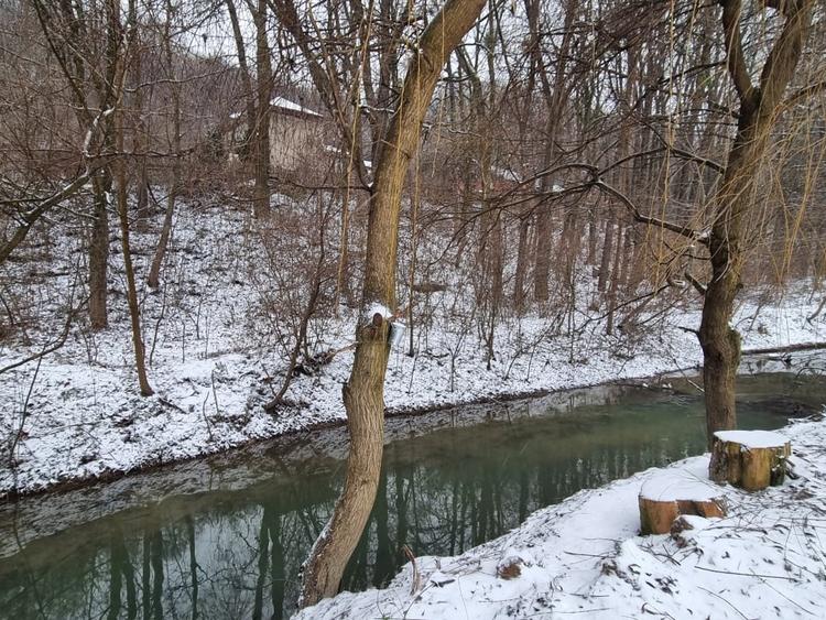 Hemeius- Teren cu deschidere la padure si parau. Cu salcie la mal! - 1